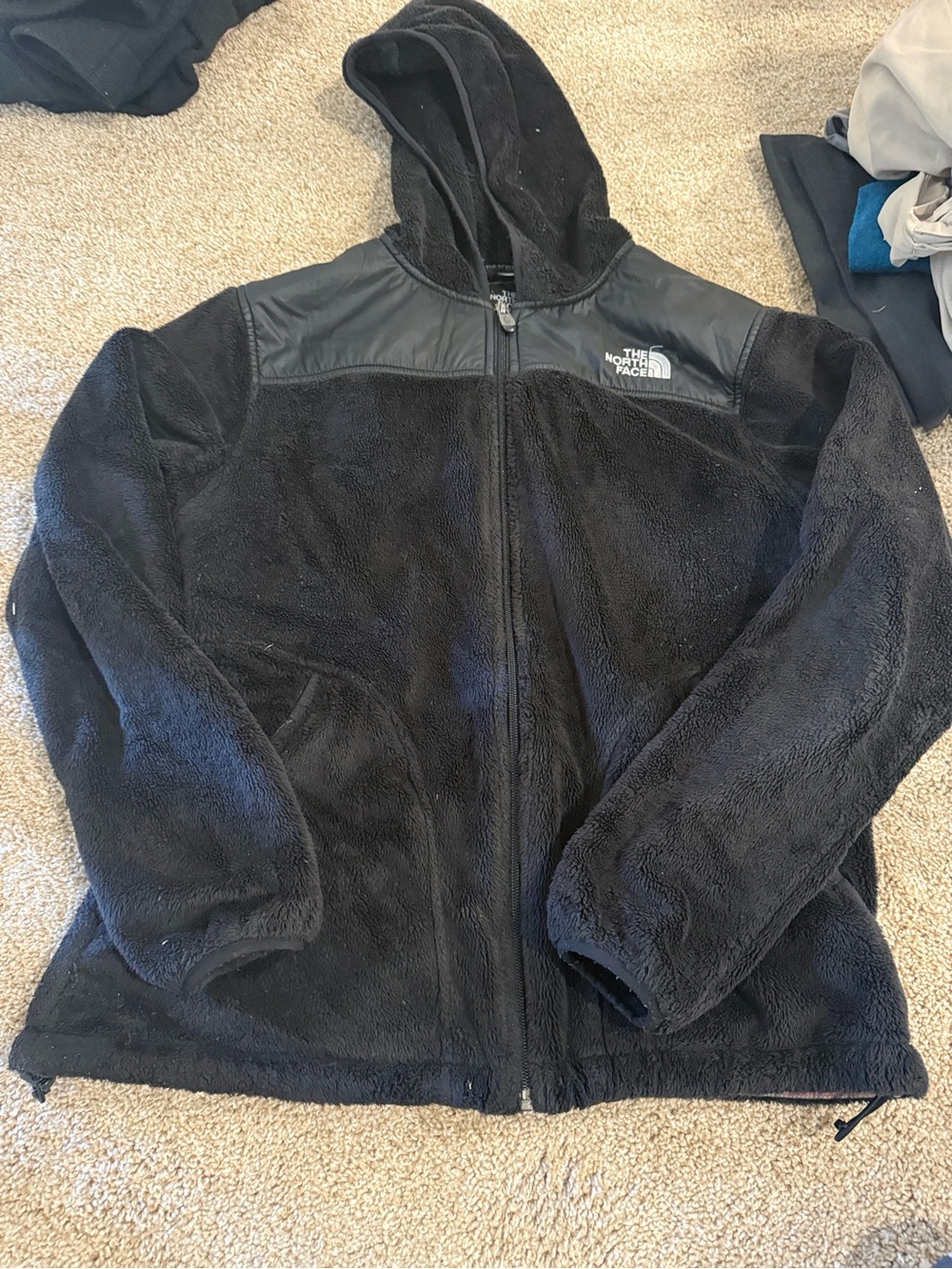 The North Face Black Hooded Fleece Jacket